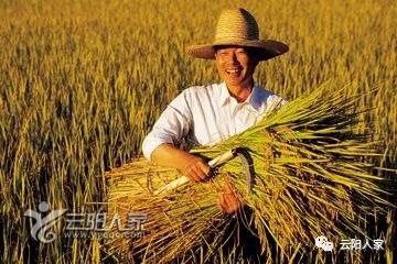 《俺是农民》LRC歌词 《俺是农民》(网络歌手)歌词555uuu下载