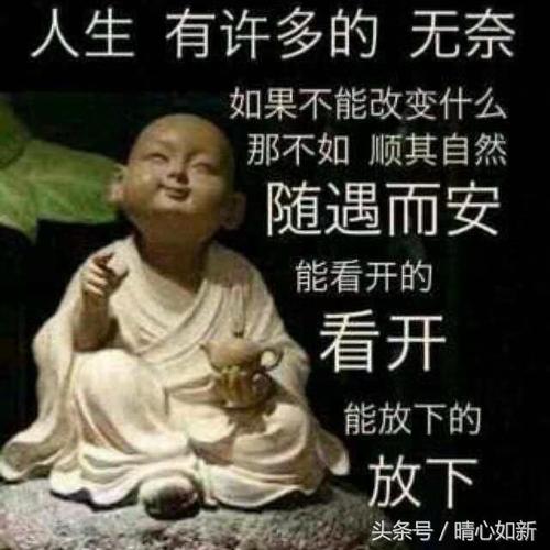 《除了心痛我一无所有》LRC歌词 《除了心痛我一无所有》(赵真)歌词555uuu下载