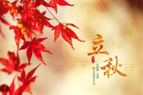 《立秋》LRC歌词 《立秋》(音阙诗听&昆玉)歌词555uuu下载