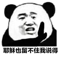 《留你留不住》LRC歌词 《留你留不住》(袁小迪)歌词555uuu下载