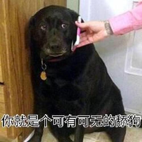 《可有可无》LRC歌词 《可有可无》(夏天Alex)歌词555uuu下载