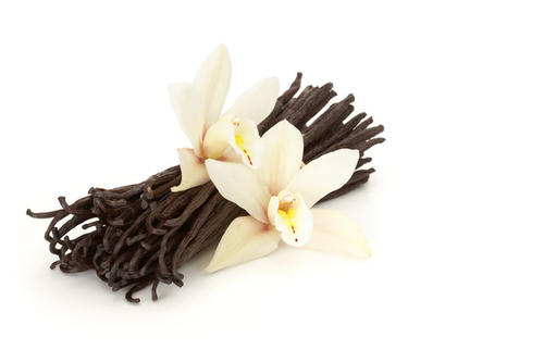 《Vanilla》LRC歌词 《Vanilla》(A.B.C-Z)歌词555uuu下载