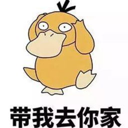 《带我回家》LRC歌词 《带我回家》(周笔畅)歌词555uuu下载