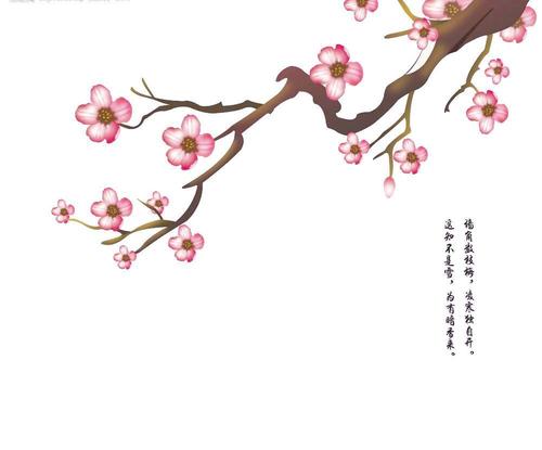 《暗香》LRC歌词 《暗香》(许飞)歌词555uuu下载