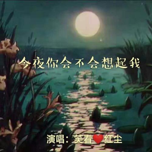 《今夜你会不会想起我》LRC歌词 《今夜你会不会想起我》(杨小曼)歌词555uuu下载