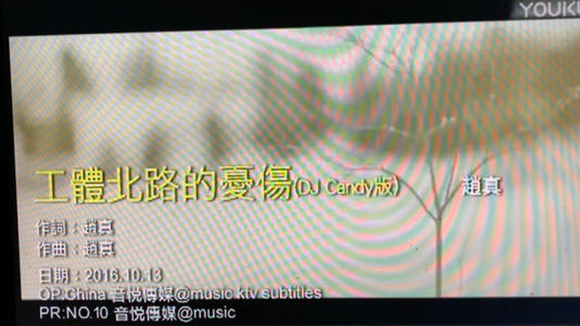 《工体北路的忧伤》LRC歌词 《工体北路的忧伤》(赵真)歌词555uuu下载