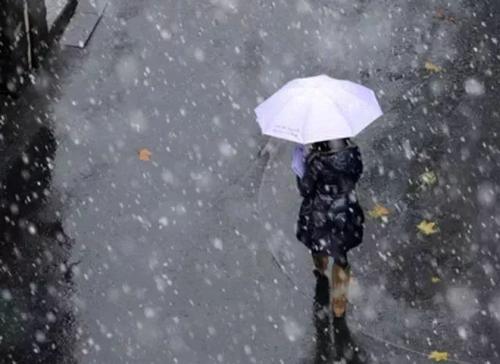 《雨夹雪》LRC歌词 《雨夹雪》(张津涤)歌词555uuu下载