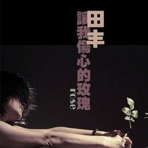 《让我伤心的玫瑰》(陈瑞,田丰)歌词555uuu下载