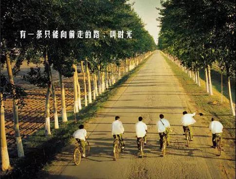 《回首青春》LRC歌词 《回首青春》(晓依)歌词555uuu下载