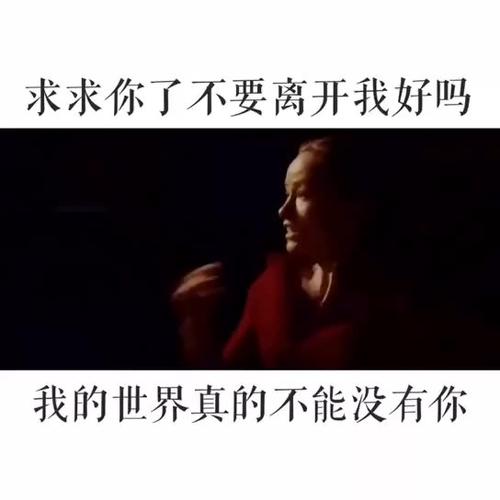 《求求你不要离开我》LRC歌词 《求求你不要离开我》(帅霖)歌词555uuu下载