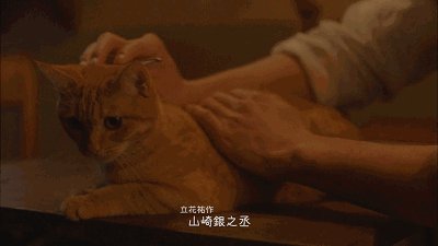 《爱让人无力》LRC歌词 《爱让人无力》(陶莉萍)歌词555uuu下载