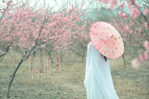 《人面桃花》LRC歌词 《人面桃花》(旭佳非&郑惠铭)歌词555uuu下载