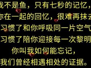 《要我怎么把你忘记》(梦成)歌词555uuu下载