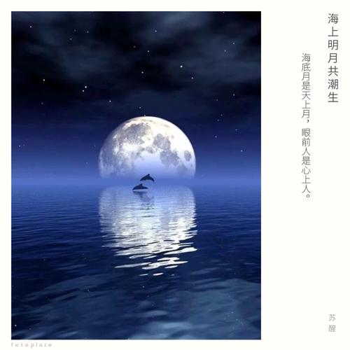 《海上明月》(李谷一&平安)歌词555uuu下载