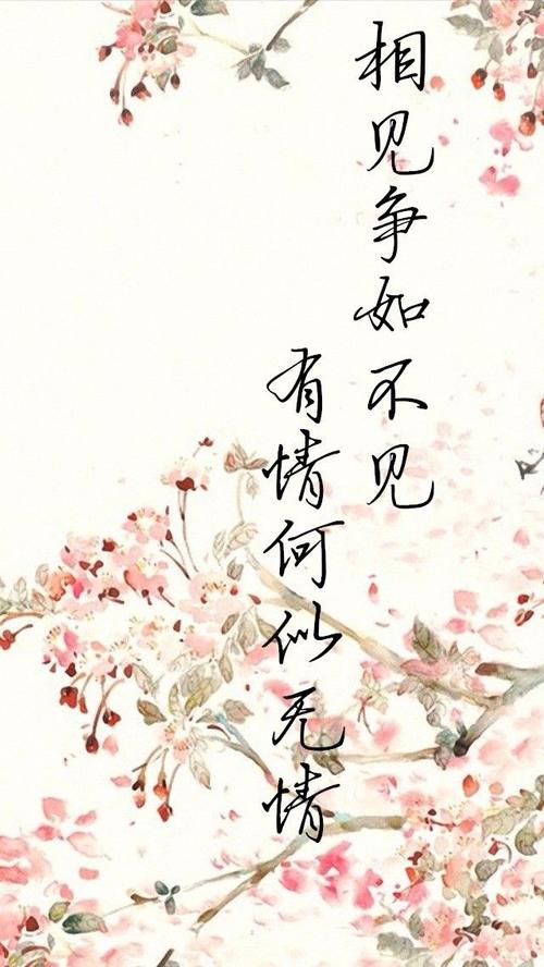 《不见有情》LRC歌词 《不见有情》(河图)歌词555uuu下载