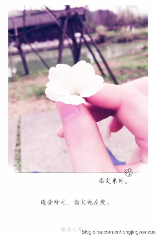 《微凉的指尖》LRC歌词 《微凉的指尖》(陈彦妃)歌词555uuu下载