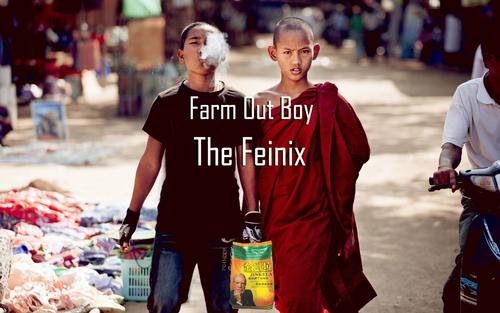 《The Phoenix》LRC歌词 《The Phoenix》(Fall,Out,Boy)歌词555uuu下载