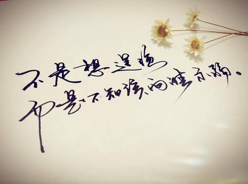 《逞强》LRC歌词 《逞强》(贺一航)歌词555uuu下载