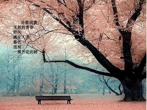 《青春告别诗》LRC歌词 《青春告别诗》(庞龙)歌词555uuu下载