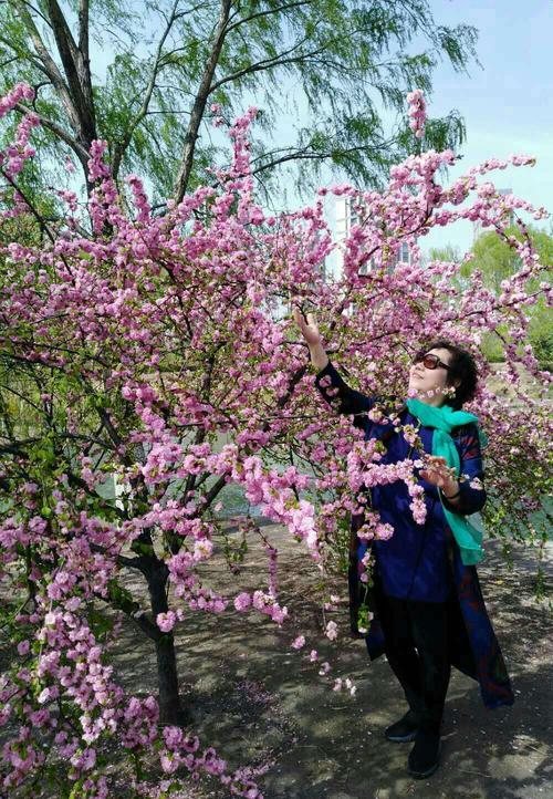 《摘花的人》LRC歌词 《摘花的人》(刘天助)歌词555uuu下载