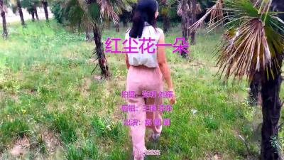 《红尘花一朵》(卢喃,唐大鹏)歌词555uuu下载