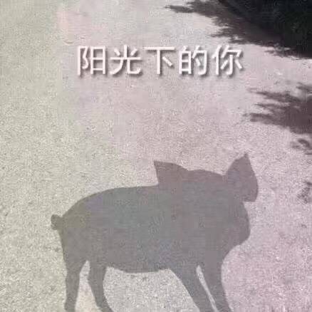 《阳光下的你》LRC歌词 《阳光下的你》(慕林唯)歌词555uuu下载