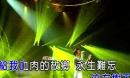 《梨花又开放(Live)》LRC歌词 《梨花又开放(Live)》(韩红)歌词555uuu下载