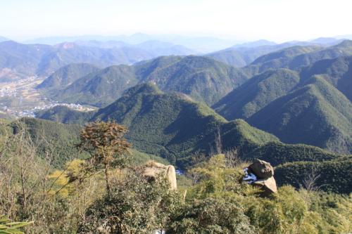 《山沟沟》LRC歌词 《山沟沟》(林芳)歌词555uuu下载