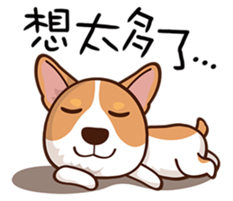《宝贝的doggy》LRC歌词 《宝贝的doggy》(加清莲)歌词555uuu下载