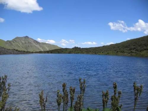 《南山南》LRC歌词 《南山南》(白桦树娃娃)歌词555uuu下载