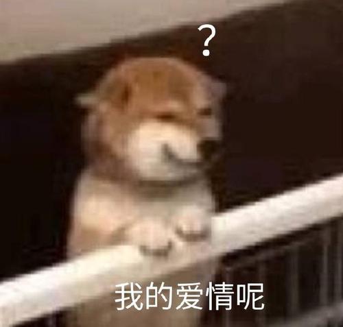 《我的爱情》LRC歌词 《我的爱情》(张洪量)歌词555uuu下载