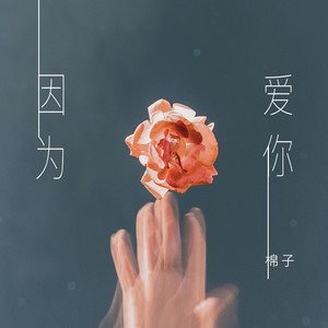 《因为爱你伤了心》LRC歌词 《因为爱你伤了心》(紫齐)歌词555uuu下载