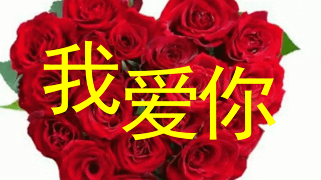 《亲爱的我爱你》LRC歌词 《亲爱的我爱你》(冯志泽&思小玥)歌词555uuu下载