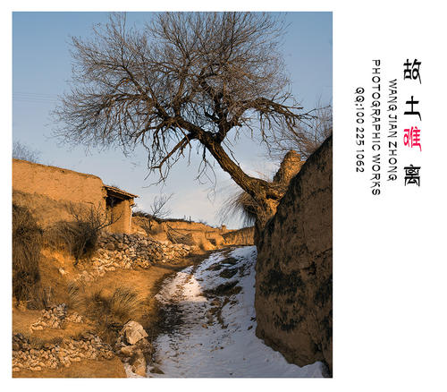 《故土难离》LRC歌词 《故土难离》(范琳琳)歌词555uuu下载